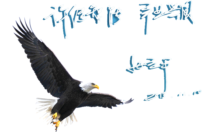 网投领导者(中国)有限公司-官方网站
